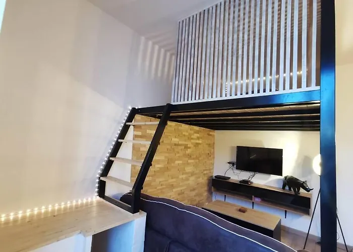 Le Favrel - Appartement Avec Mezzanine Renove - Gare De Vannes